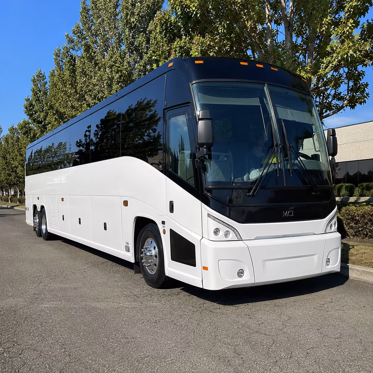 georgetown 50 passenger charter bus