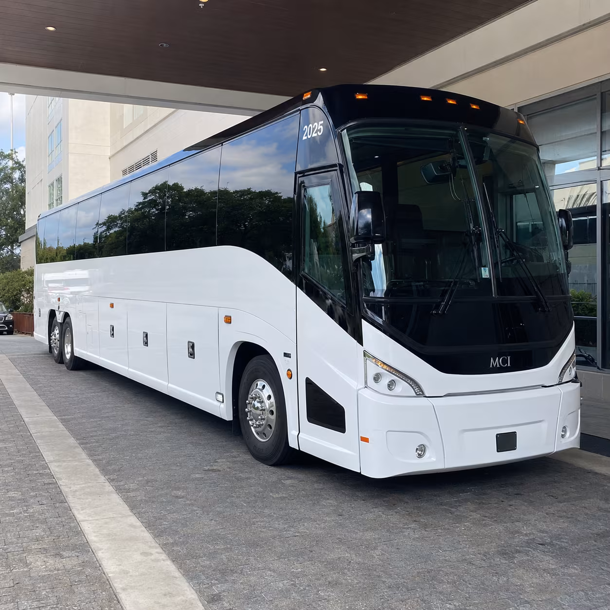 georgetown 54 passenger charter bus