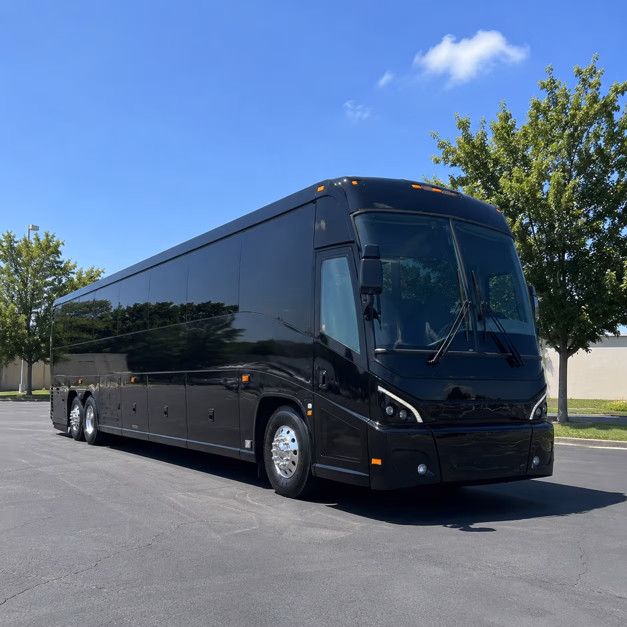 georgetown 56 passenger charter bus