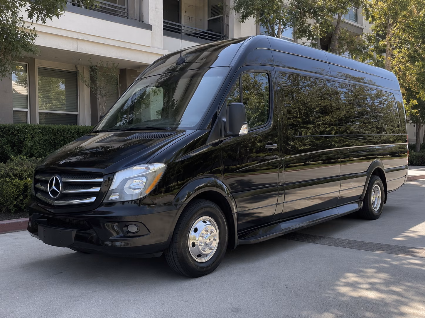 georgetown sprinter van with driver